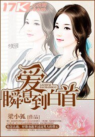 沈小姐的傲嬌前夫/愛,瞬息到白首